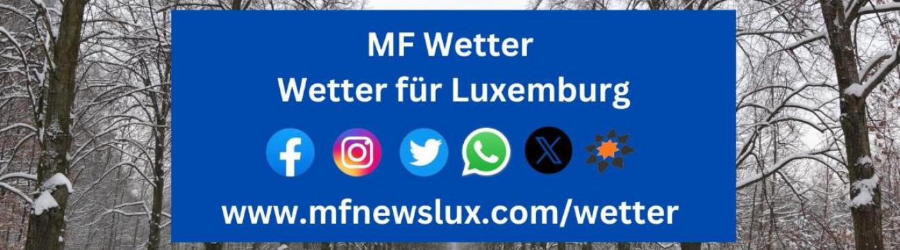 MF Wetter