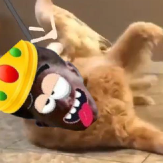 Generation Deutschland